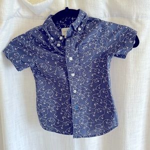 Crewcuts Size 2 Boys Button-Up